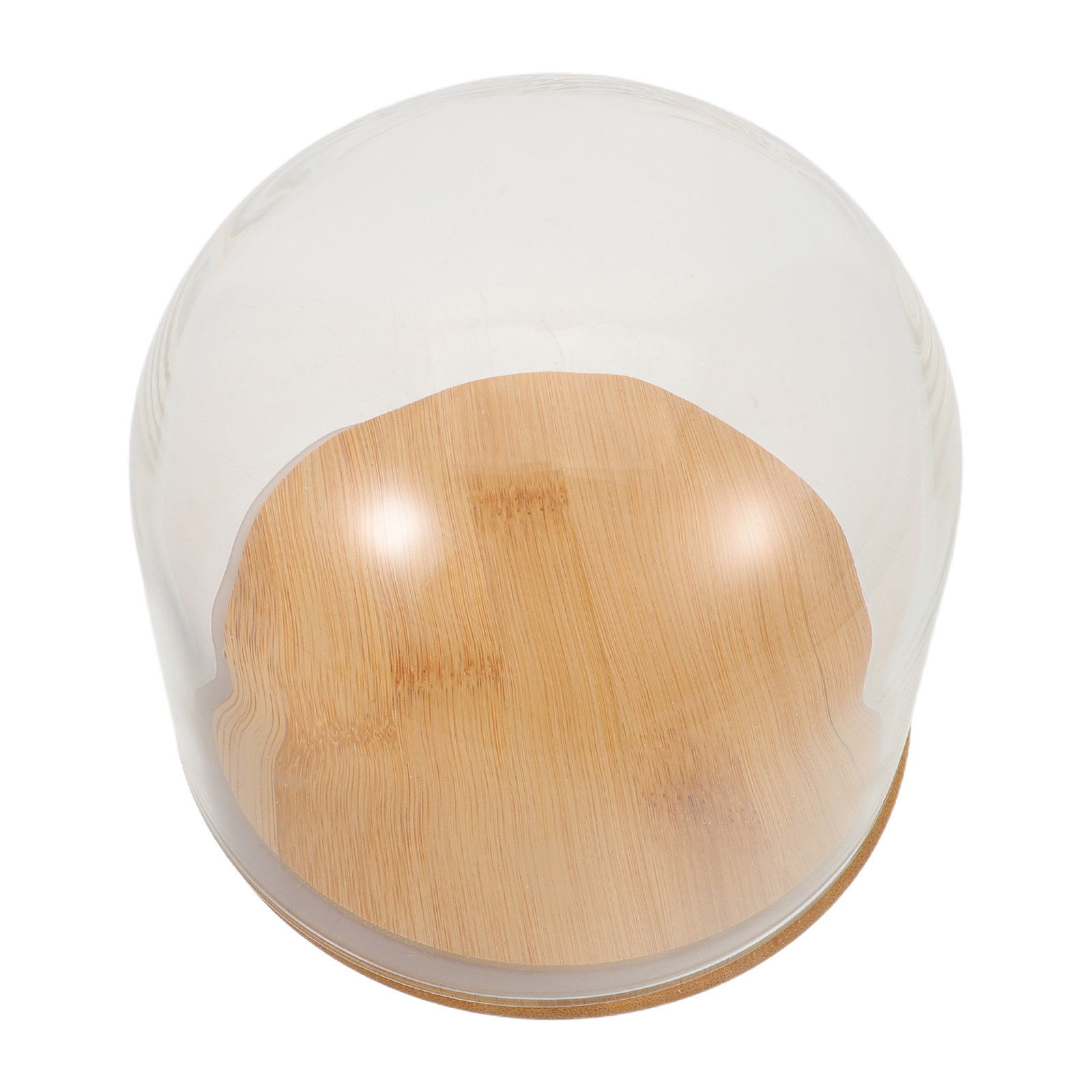 Plastic Dome Clear - قبة زجاجية شفافة مع قاعدة من