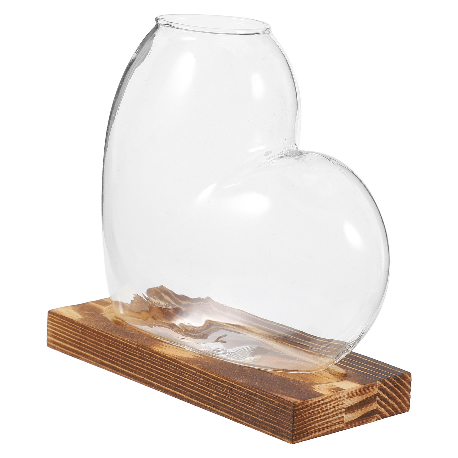 Propagation Station Vase - وعاء زجاجي شفاف للزراعة المائية، محطة