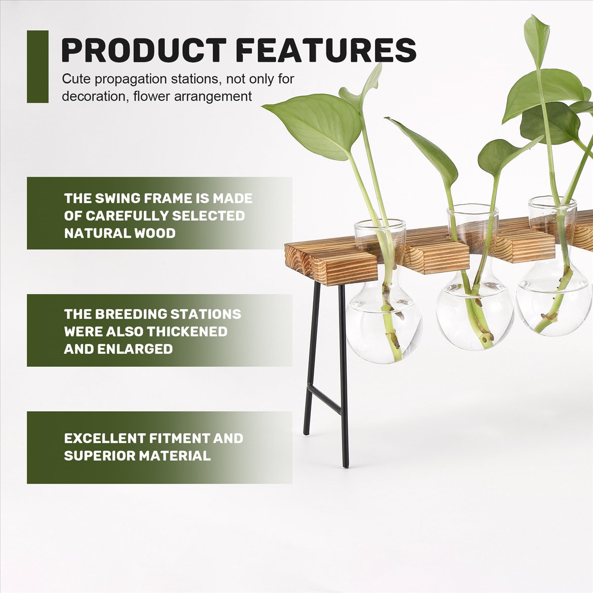 Propagation Station Vase - ABFS محطات تكاثر النباتات، تيراريوم زجاجي