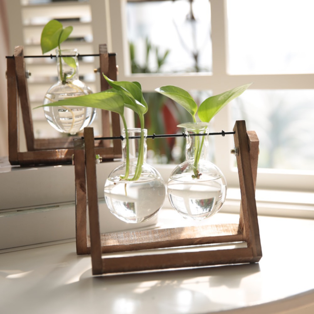 حامل خشبي مبتكر على شكل أرجوحة - مراجعة Propagation Station Vase وسعره