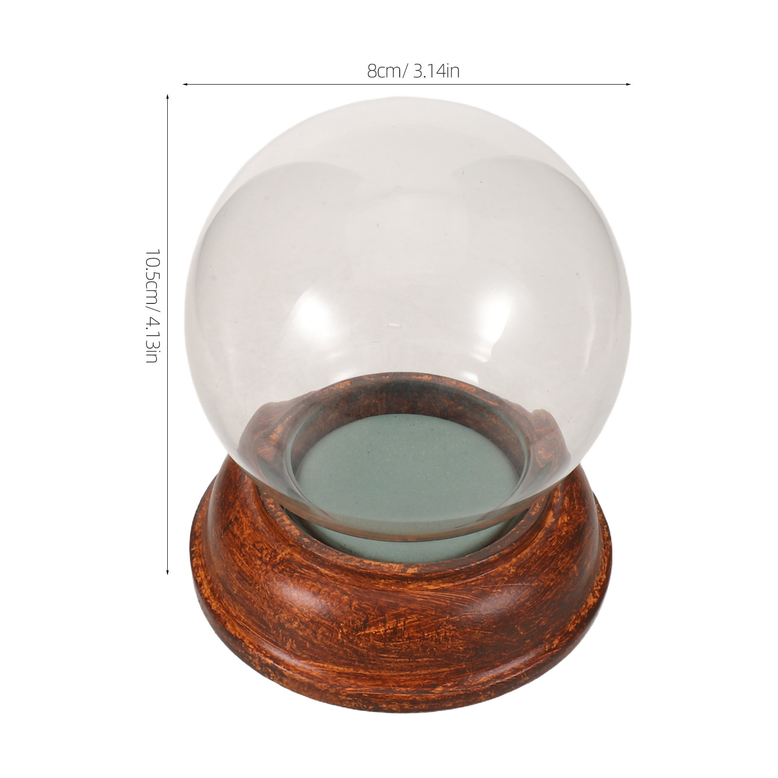 قبة زجاجية شفافة فارغة بقطر 80 - مراجعة Plastic Dome Clear وسعره