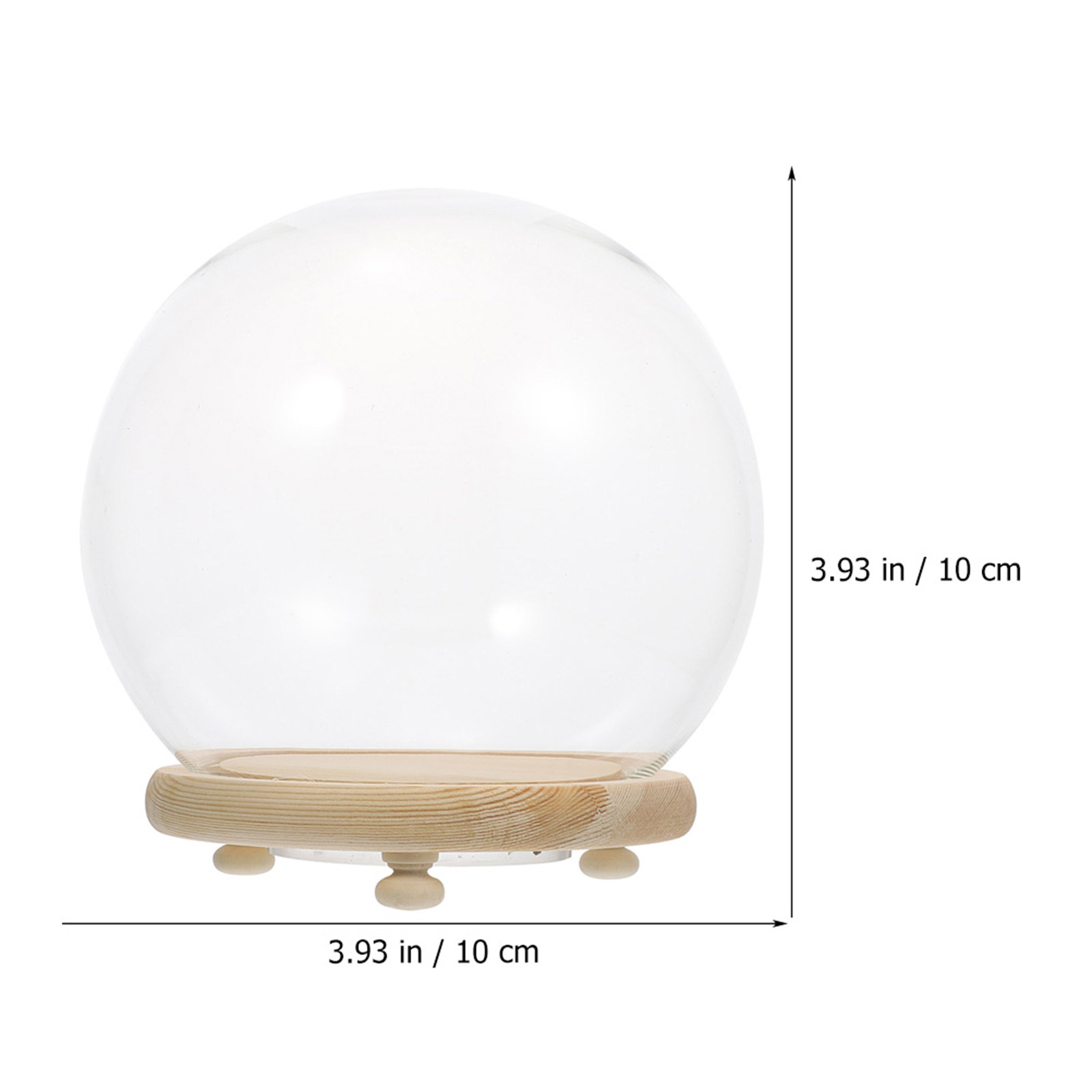 علبة عرض زجاجية على شكل قبة لت - مراجعة Plastic Dome Clear وسعره