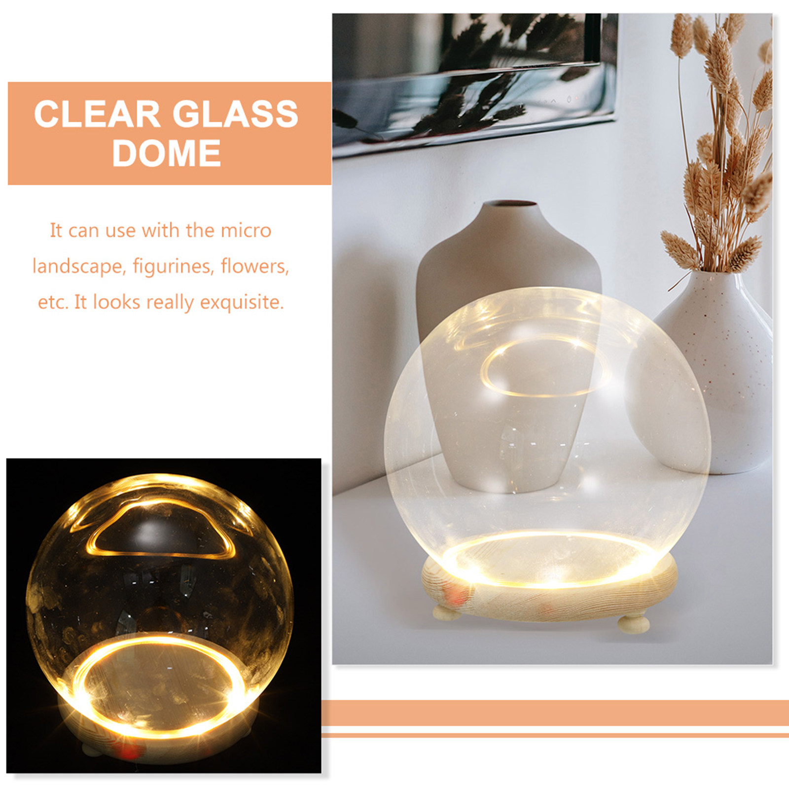 علبة عرض زجاجية على شكل قبة لت - مراجعة Plastic Dome Clear وسعره