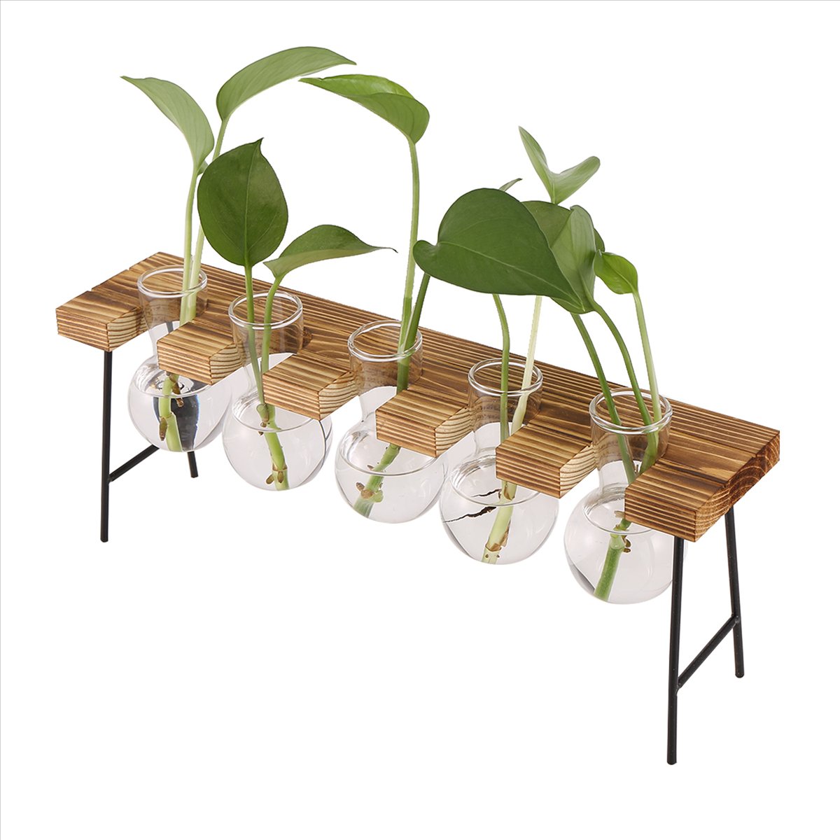 ABFS محطات تكاثر النباتات، تير - مراجعة Propagation Station Vase وسعره