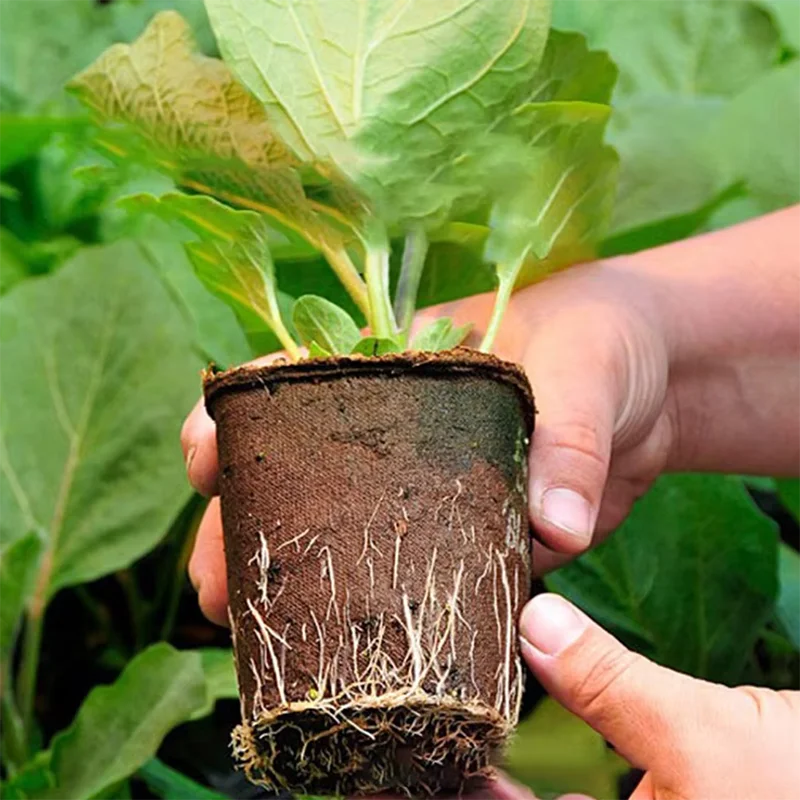50 قطعة من أوعية الخث المستدير - مراجعة Peat Pellet Tray وسعره